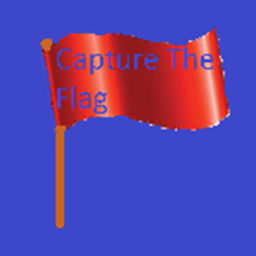 Capture The Flag