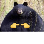 BearBlender