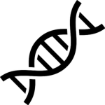 A Genetic Abomination of a Group