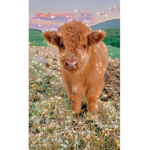•cow squad! •