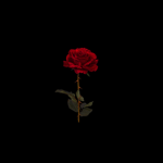 Eddie’s Roblox Group Club