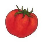 TomatoJord Clothing Store