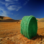 The Green Hay Bale (Official Group)
