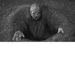 The Wolfman Group