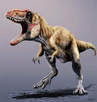 The Fossil club