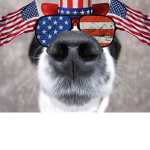 The Real Dogs Of America
