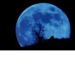 Raspberry Moon