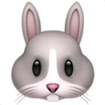 bunnygaming fans