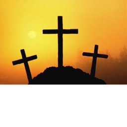 + The Cross Family Camp +