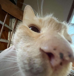 a generic group of really epic people