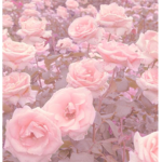 The Melting Roses