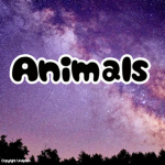 Ãnimãls