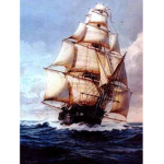 HMS Rogue