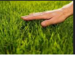 Don’t touch GRASS!!!
