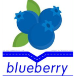 BlueberrySquad_blueberryRobloxClothes