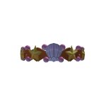 Sea shell wreath