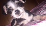 alien mia jackie