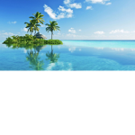 !!!Tropical army!!!