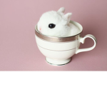 BUNNIES IN A CUP!!!