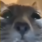 HTBLTO