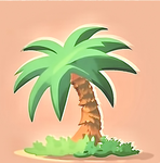 Palmetto.co
