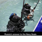 Seals must take over Earth