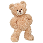 Cools is TEDDY TEAM