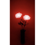 ~Red Roses ~