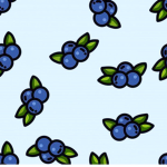 Blueberry Team <3