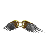 Radiant Angel Wings