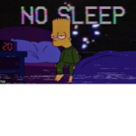 N.o.S.l.e.e.p