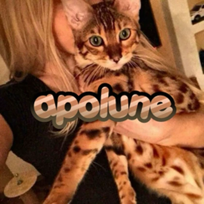 apolune Roblox group icon