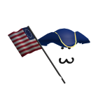The Americat Revolution