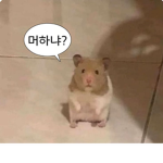 민총스
