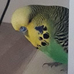 १