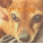 Baconinternational Fan Group