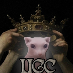 Shalom UGC