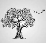 Official Tree Studio