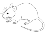 micemeat