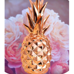 Graciepoo.com’s AWSOME group