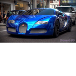 DA BLUE CREW XD XD X D X D X D