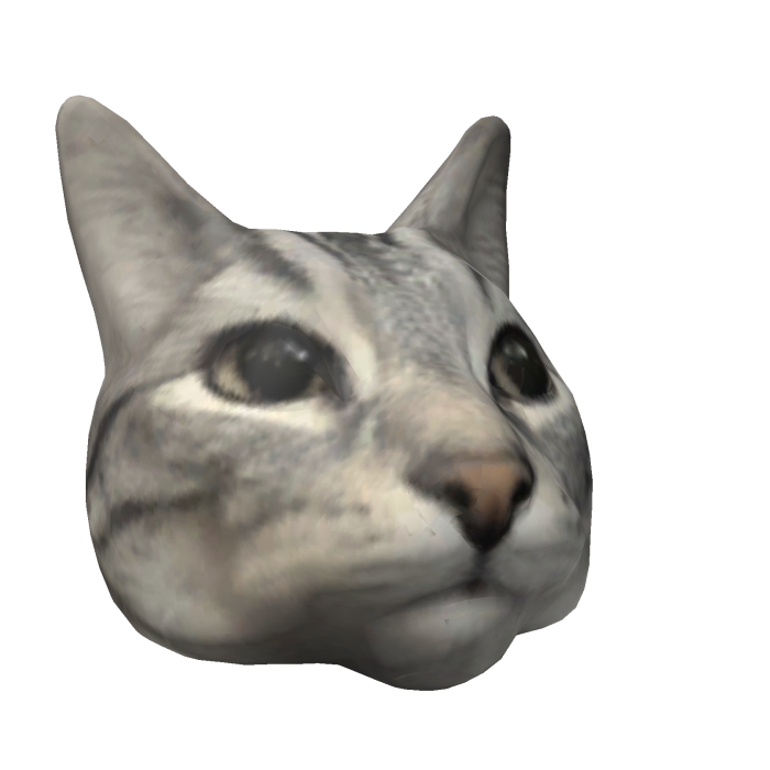 Cute Cat