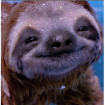 ~the sloth squad~