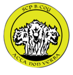 Scouts Battalion, B Mechanized Infantry Company