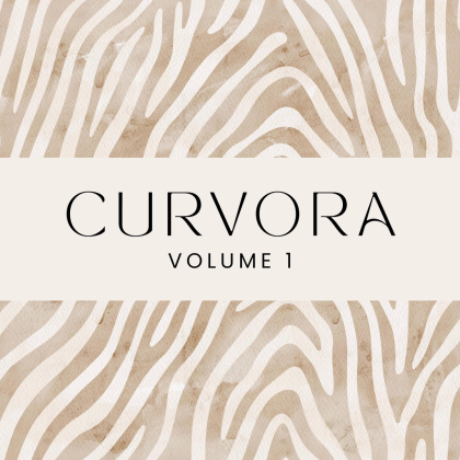 Brazilian Funk Roblox music