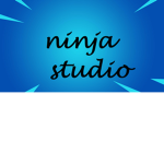 Ninja Studios (New)