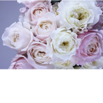 flower x g