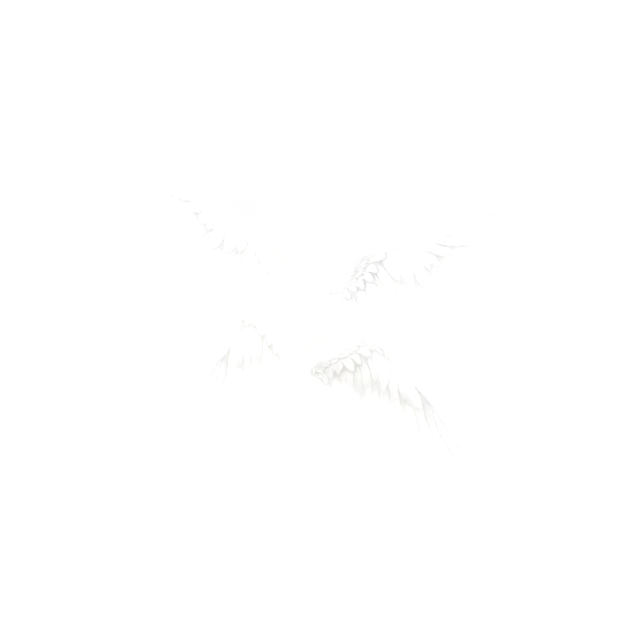 White Angel Wings [Emissive]