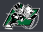 Saskatoon Huskies