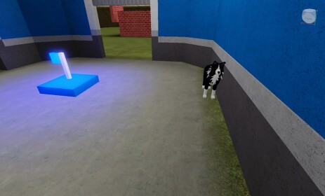 Capture the Flag: Puppy vs Kitty 